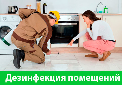 Дезинфекция офисов от коронавируса в городе Владивосток