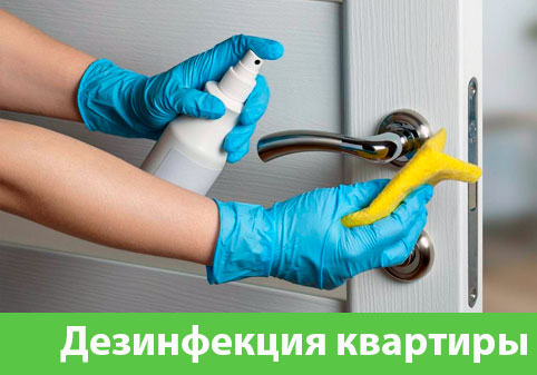Дезинфекция квартиры в городе Владивосток