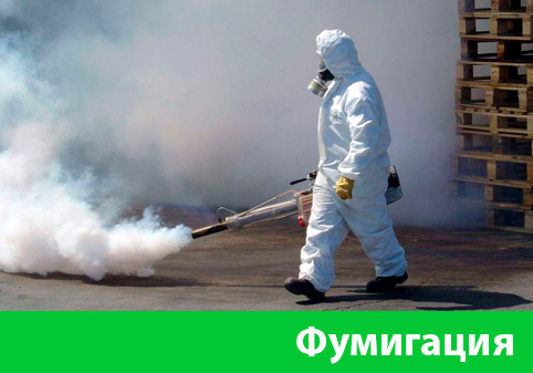Фумигация в городе Владивосток