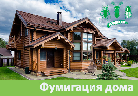 Преимущества обработки газом в городе Владивосток