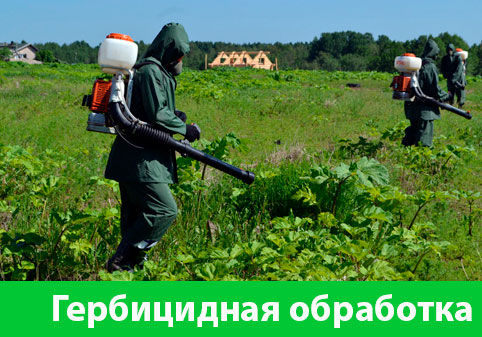 Гербицидная обработка в городе Владивосток