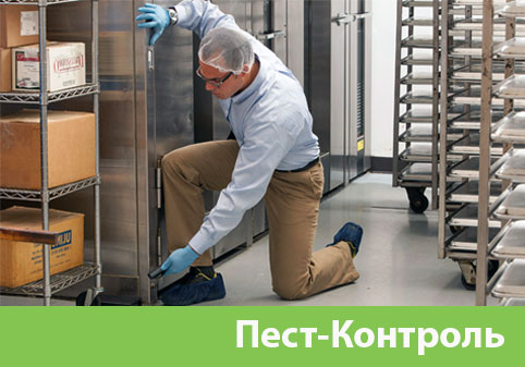 Пэст-Контроль в городе Владивосток
