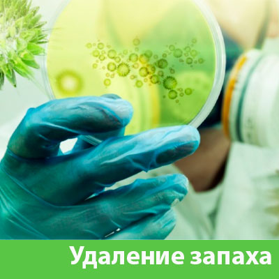 Удаление запахов в Владивостоке