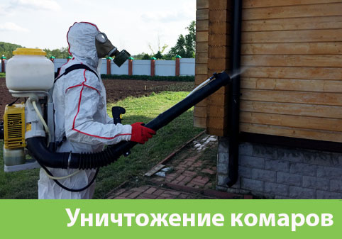 Уничтожение комаров в городе Владивосток
